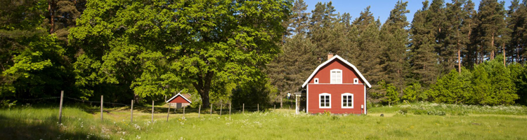 Busreizen Zweden